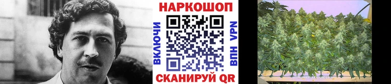 Купить закладку Каннабис  МЕФ  Няндома