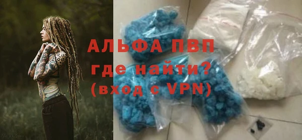 крисы Дмитров