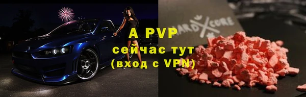 крисы Дмитров