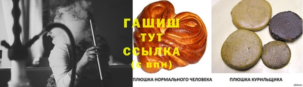 крисы Дмитров