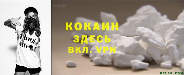 прущая мука Дмитриев