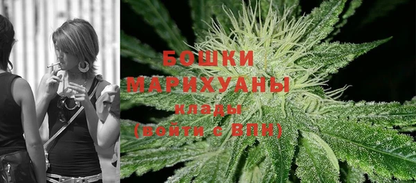 прущая мука Дмитриев