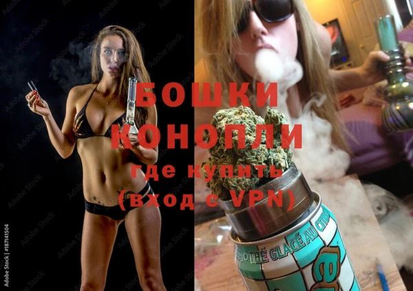 прущая мука Дмитриев