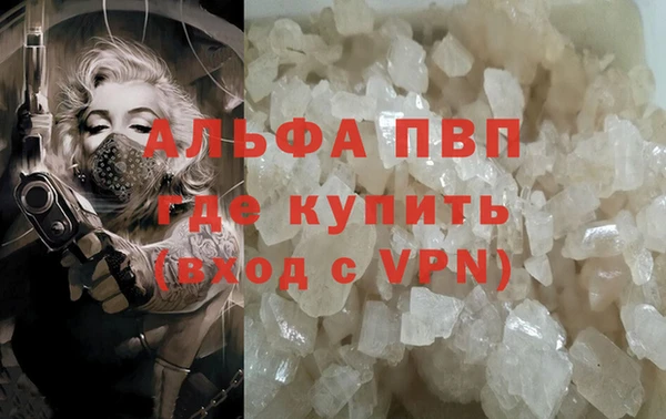 крисы Дмитров