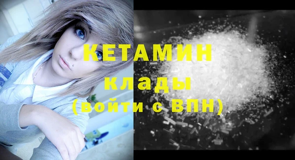 крисы Дмитров