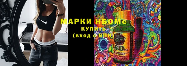 крисы Дмитров