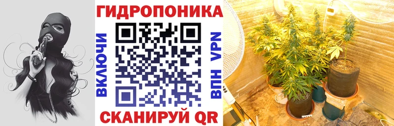 Купить где  Няндома  Канабис ГИДРОПОН 